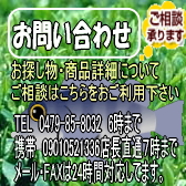 ���䤤��碌
