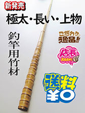 極素材ロング送料無料